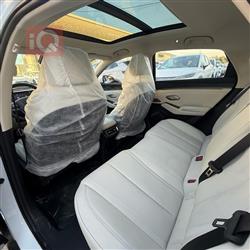 بي واي دي كوين L DM-i